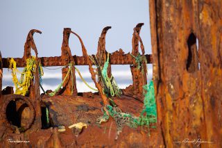 Virgo's wreck Virgo's wreck