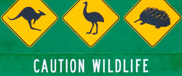 Signs Story