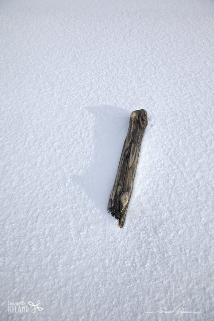 Of Snow and Sand Of Snow and Sand