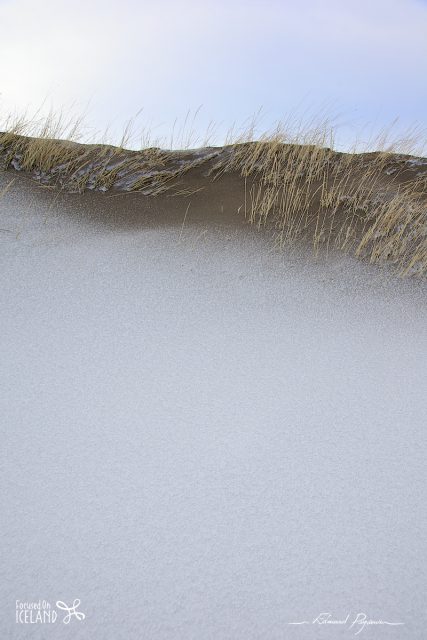 Of Snow and Sand Of Snow and Sand