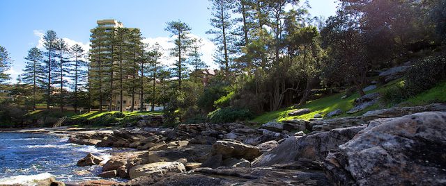 Manly shore