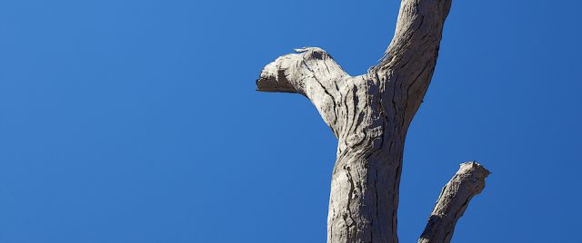 Trunk & Sky, 3 post-processing